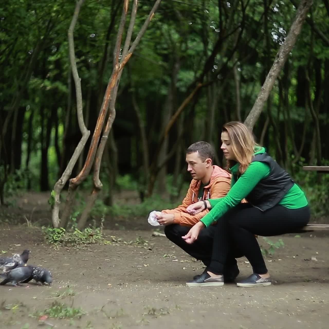pareja de palomas que se alimentan