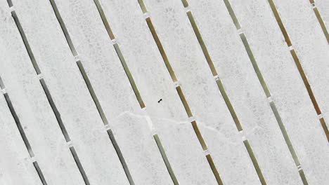 una imagen aérea de una figura solitaria de pie en medio de los pozos de extracción de las salinas de salinas grandes, argentina