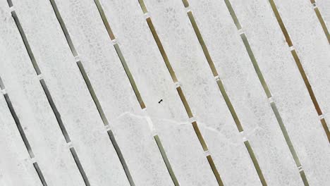 aerial of a lone figure standing in middle of the extraction pits of the salt flats of salinas grandes, argentina