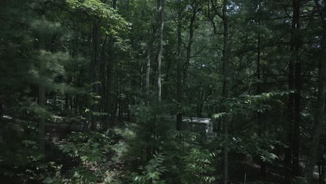 pov camera moves through sun dappled forest toward country home