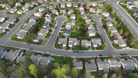 Von-Oben-Nach-Unten-Luftaufnahme-Einer-Sackgasse-In-Einem-Amerikanischen-Viertel-Mit-Keksausstecher