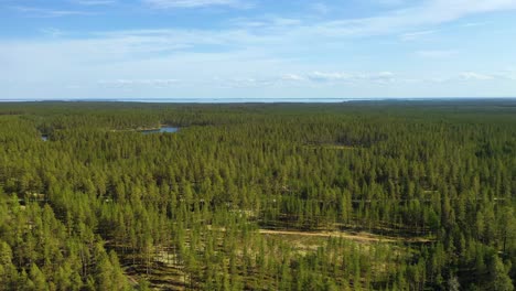 Vista-Aérea-Del-Lago-Y-El-Bosque-En-Finlandia.-Hermosa-Naturaleza-De-Finlandia.