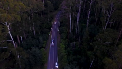 Luftaufnahmen-Einer-Dunklen-Waldstraße-Mit-Vielen-Autos-In-Der-Abenddämmerung