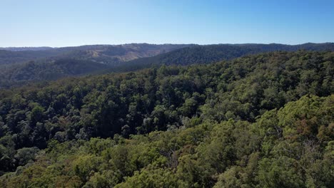 sweeping forests view at falls lookout and bulls falls mountain hike in mount mee, queensland, australia