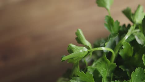 topshot of a bunch of flat-leaf parsley