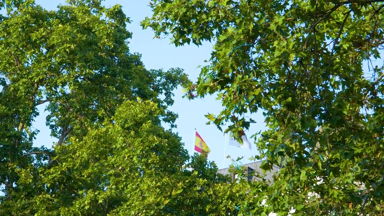 Lavvinkelskudd av Spanias nasjonalflagg som vaier mellom frodige grønne løvtrær mot en klar blå himmel i Madrid. Egnet for reise-, nyhets- og kulturinnhold