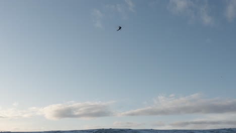 helicopter taking off from remote iceland region with clear sky as background