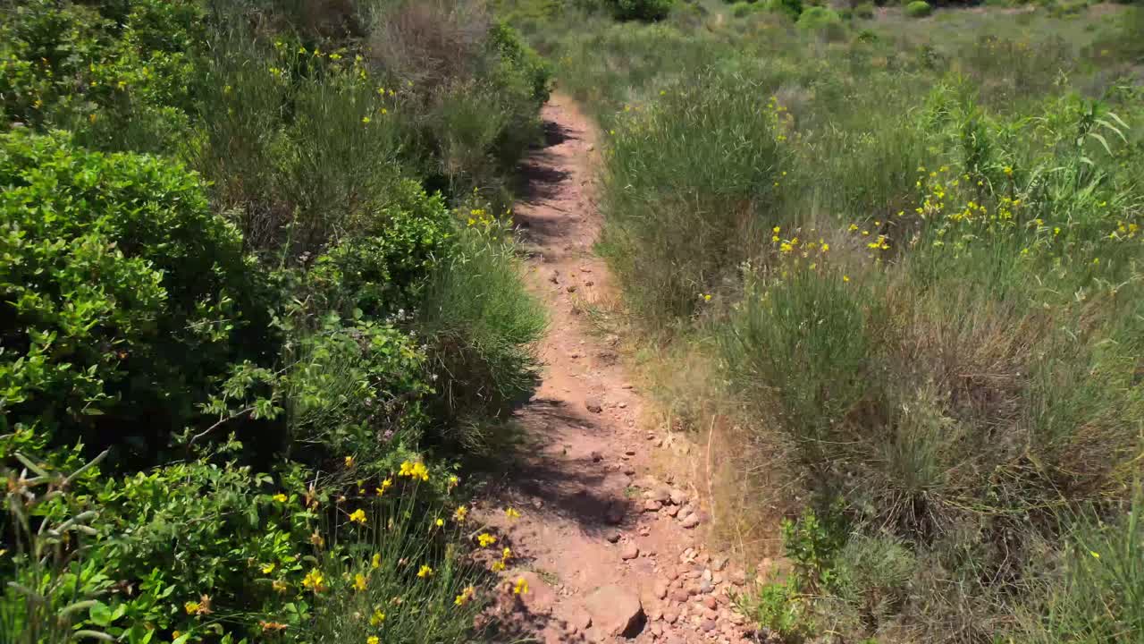 독성 살충제, 파킨슨 병, 화학 오염, 비 유기농법, 농업 독, 식중독이 뿌려지는 프랑스 포도원