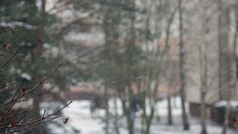 Menschen,-Die-Bei-Schlechtem-Wetter-Draußen-Spazieren,-Winterzeit