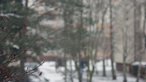 gente caminando afuera en malas condiciones climáticas, horario de invierno