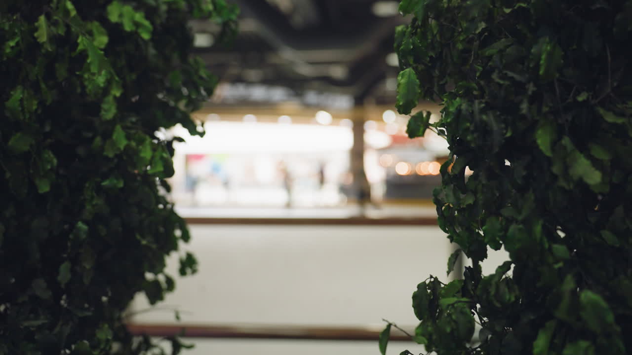 пышная зеленая листва обрамляет оживленный интерьер торгового центра с человеком, катающимся на лыжах на размытом фоне. эта уникальная перспектива подчеркивает контраст между яркой зелени и городской средой