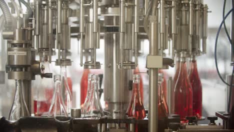 red wine bottles on a conveyor belt are automatically filled and sent to the next station in a winery production line