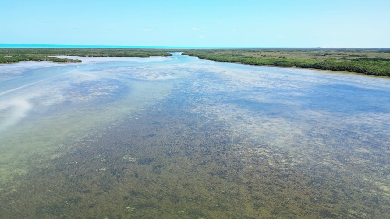 Shallow turquoise waters and lush green mangroves in cuyo, mexico, aerial view