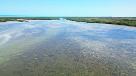 shallow turquoise waters and lush green mangroves in cuyo, mexico, aerial view