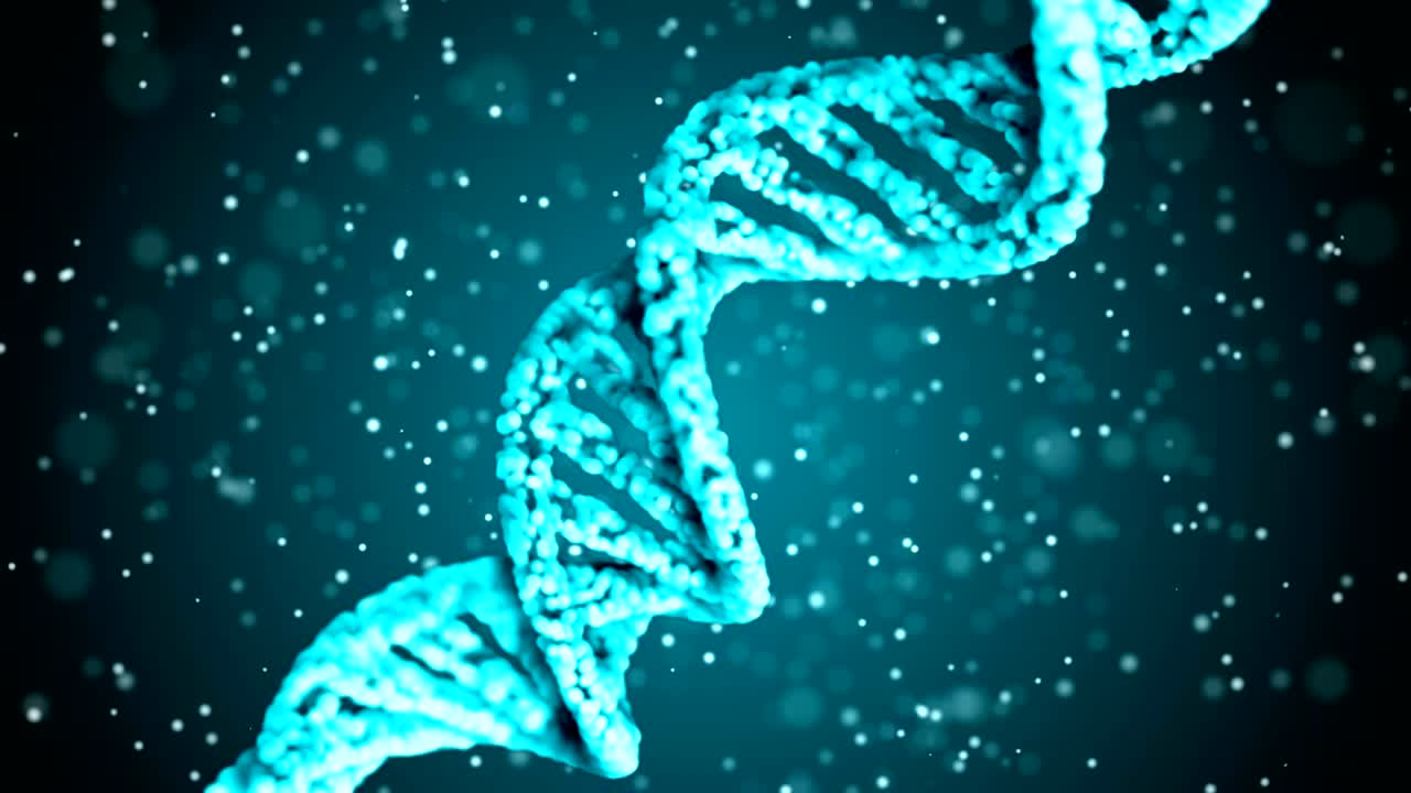 código de adn. abstracto 3d marco de alambre poligonal dna molécula hélice en espiral. animación en bucle.