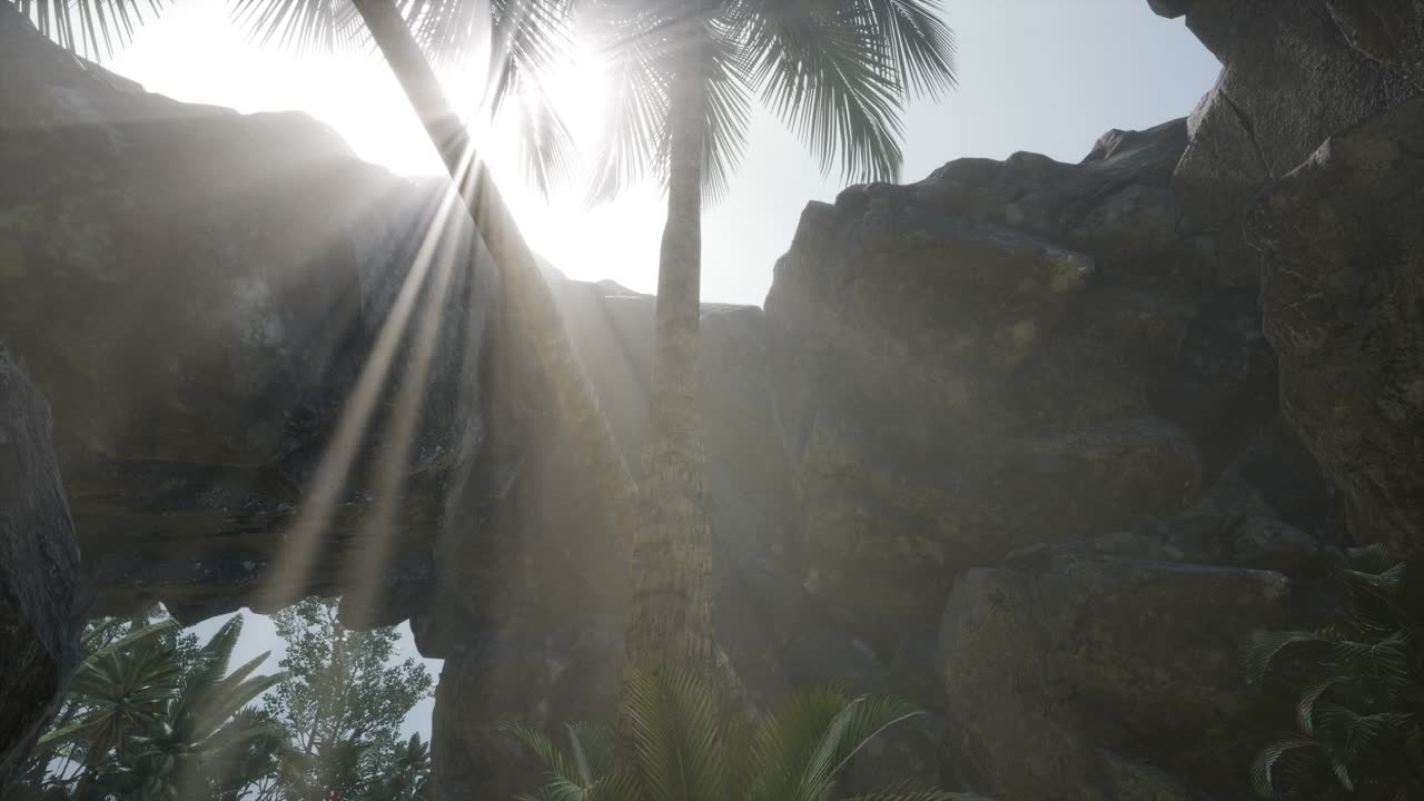 большие пальмы в каменной пещере с лучами солнечного света