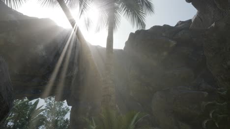 grandes palmeras en la cueva de piedra con rayos de luz solar