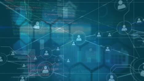 animación de la red de conexiones a través del procesamiento de datos