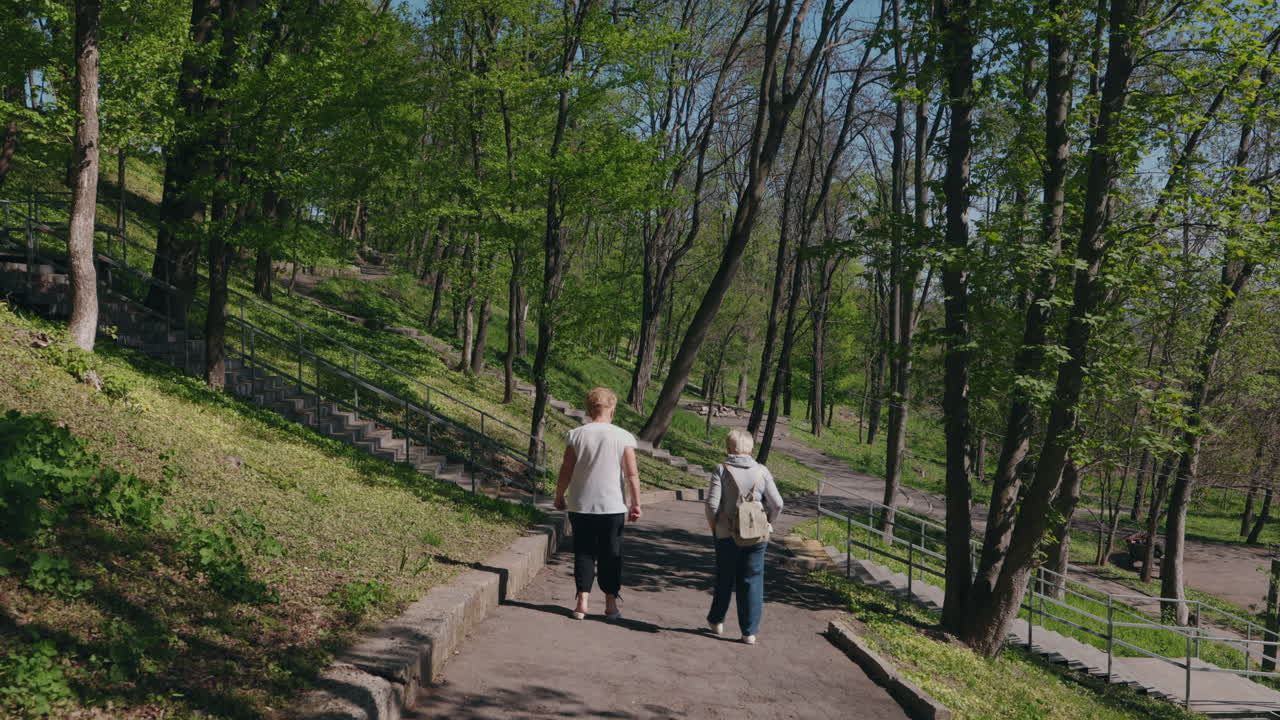 Coppia anziana che passeggia al parco