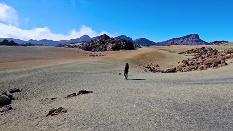 roques de garcia, tenerife, spain – vast desert landscape with rocky formations and a lone figure