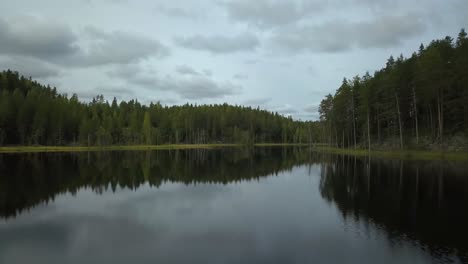 Reflejo-Del-Espejo-A-Través-De-Un-Lago-Prístino-Con-Un-Frondoso-Bosque-De-Pinos-En-Finlandia