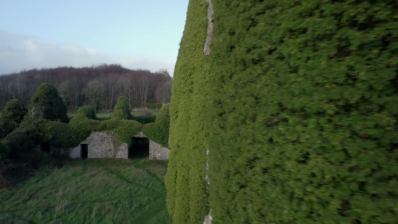 갈웨이의 멘로 성의 복원되지 않은 측면 벽