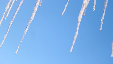 icicles against a bright blue sky