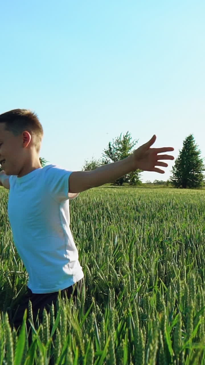 a boy with open hands is running across a field of wheat in the summer. Slow motion. Vertical video