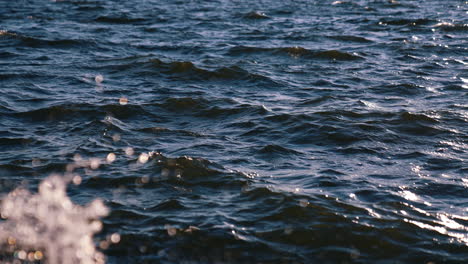 motion of a sea water. shiny reflections of the sun in water. calm waves in the ocean with small ripples on a sunny day. close-up.