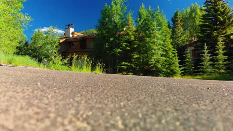 low angle shot of vail street surrounded by trees