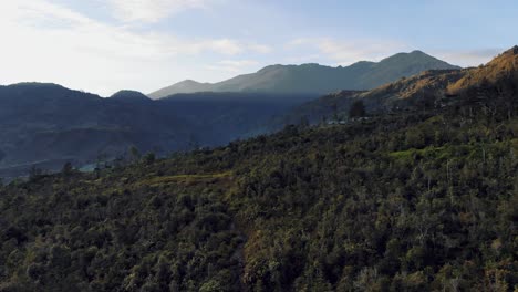 Stunning-aerial-footage-of-authentic-Papuan-huts,-located-high-in-the-mountains-of-Papua,-Indonesia