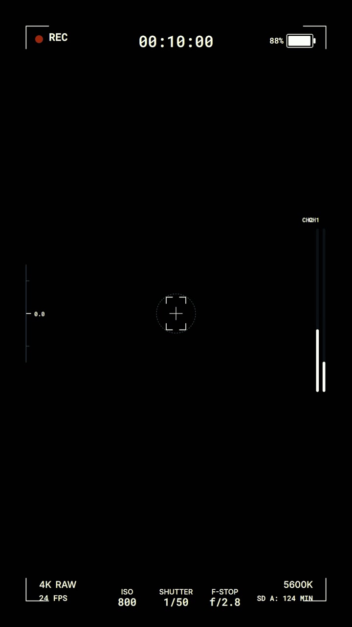 Digital Camera Viewfinder Overlay with Recording Interface