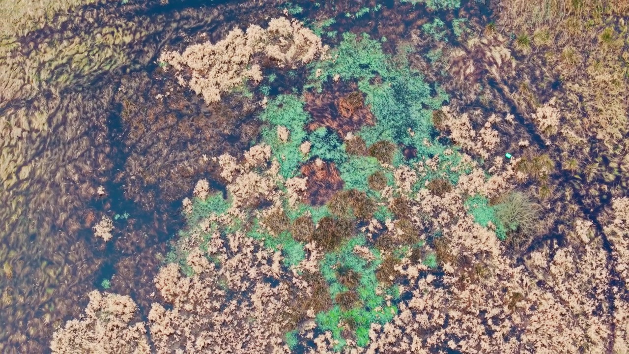 Top down drone reveals flooded grasslands shaping abstract wetland patterns