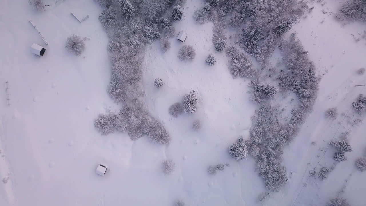 [воздушная съемка] дрон летит вниз к нескольким небольшим лесным домикам, окруженным деревьями и большим количеством снега в сельской местности трансильвании, румыния