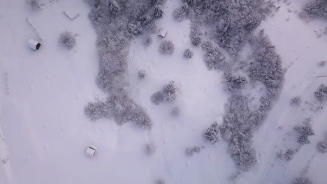 [aerial shot] drone flying down to few small forest cabins surrounded by trees and lots of snow in the countryside of transylvania, romania