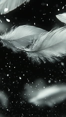 soft feathers drifting in the air. delicate feathers float through the air, creating a serene atmosphere against a dark background.