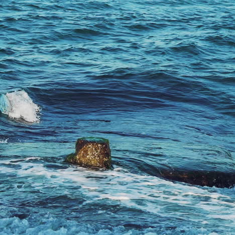 sea. splashes of the wave scatter from the impact of the breakwater. slow motion.