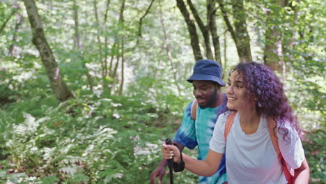 couple hiking in the woods