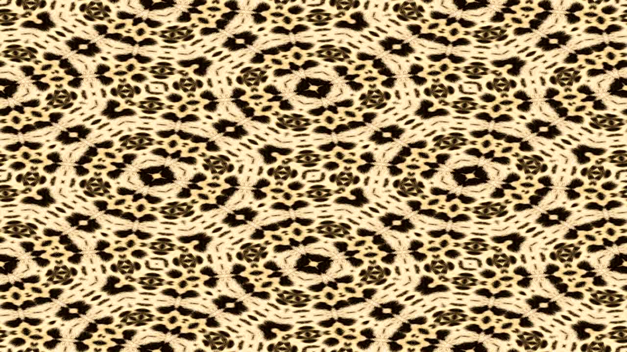 piel de leopardo y patrón animación abstracta