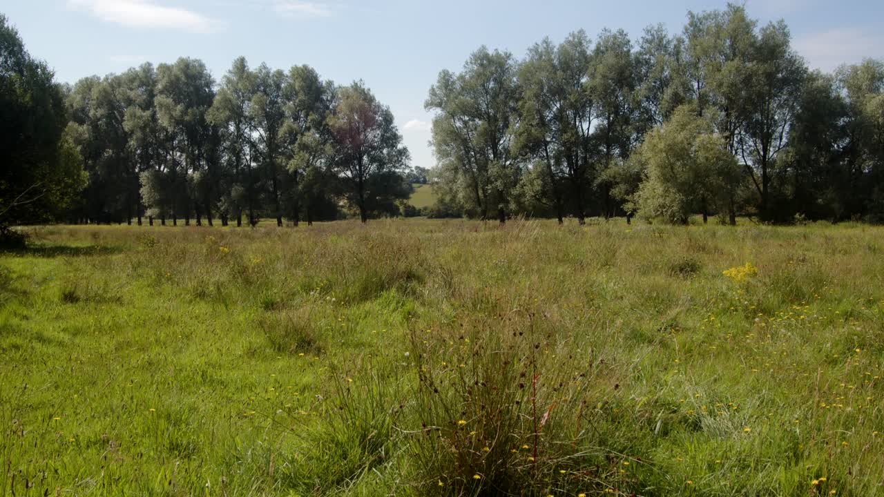 Mellembillede af en eng ved floden ved Lyny ved floden Wensum.