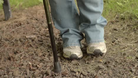 walking with a walking stick