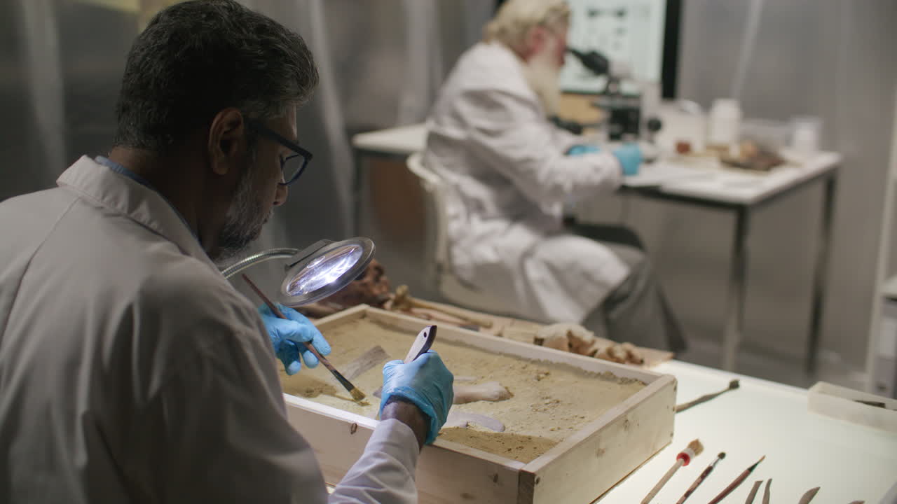 Archaeologist Uncovering Ancient Bones in Research Laboratory