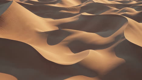 las dunas de arena del desierto