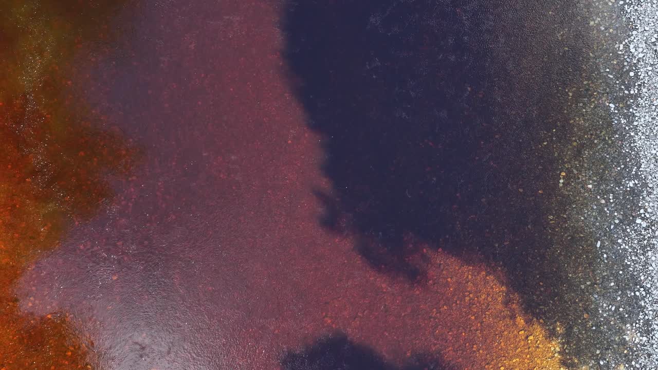 Drone glides above tranquil river, lush green forest, and water reflections in bright daylight