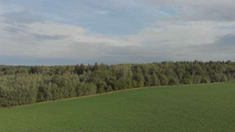 Volar-Sobre-Vastos-Bosques-Y-Campos-Vacíos-6