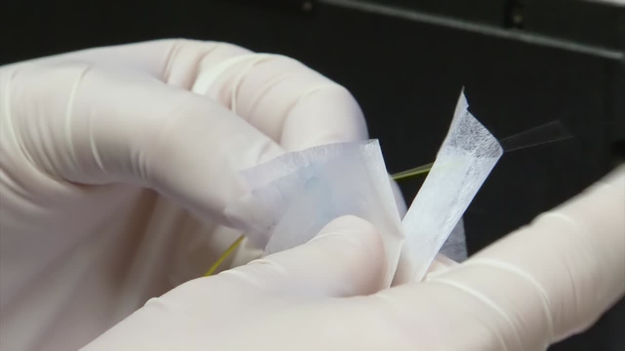 close up of hands cleaning stripped optical fiber with aceton and cloth before assembly. wiping the thread with a cloth with acetone.
