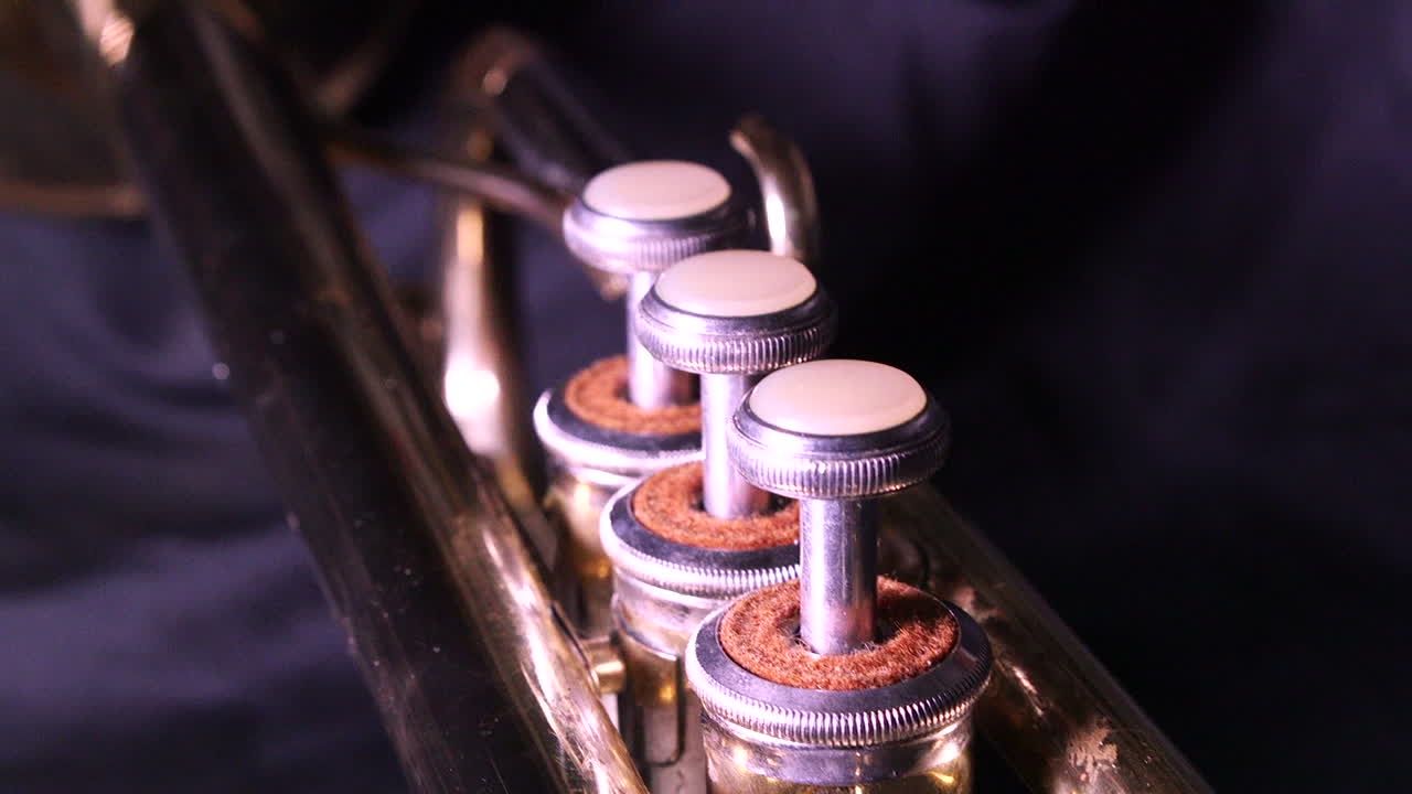 Three valves of a brass trumpet.