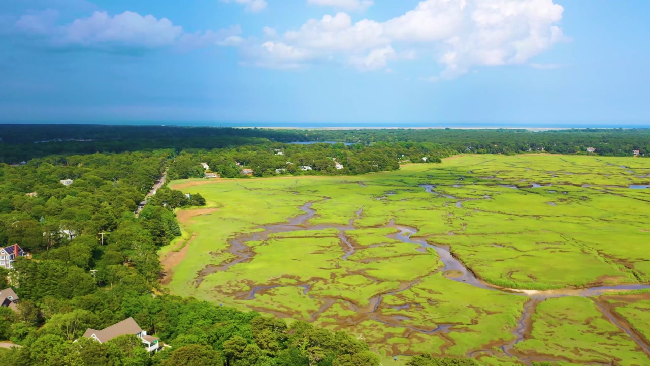 Aerial drone footage of Cape Cod wetlands, with tidal creeks meandering through bright green grasses, surrounded by dense forest and scattered residential homes.