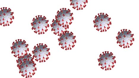 animación de múltiples células de coronavirus gastando en un fondo blanco