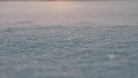 Close-shot-Establishing-cold-Arctic-snow-weather-blowing-over-open-winter-field,-shallow-depth